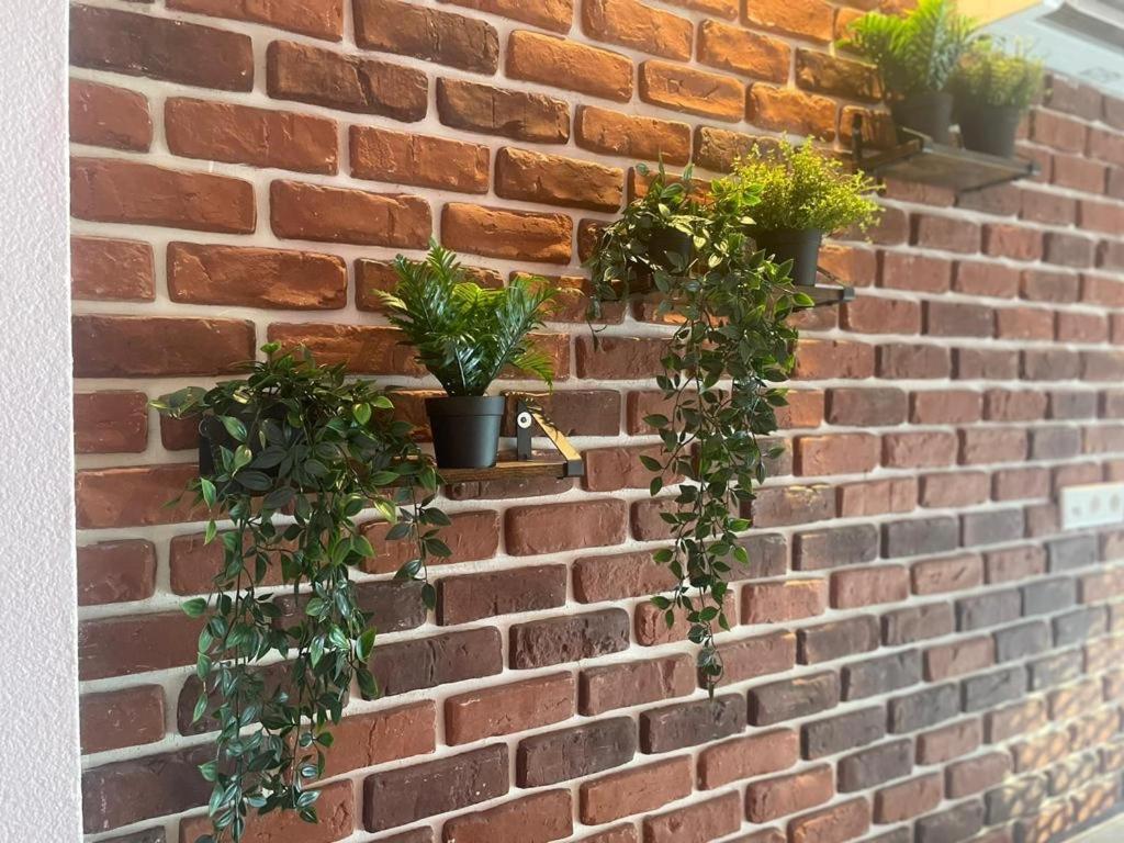 קרפלד Luxurioese Loft Mit Garten Naehe Duesseldorf Messe מראה חיצוני תמונה